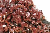 Top-Quality, Deep Red Vanadinite Crystals on Barite - Morocco #231844-5